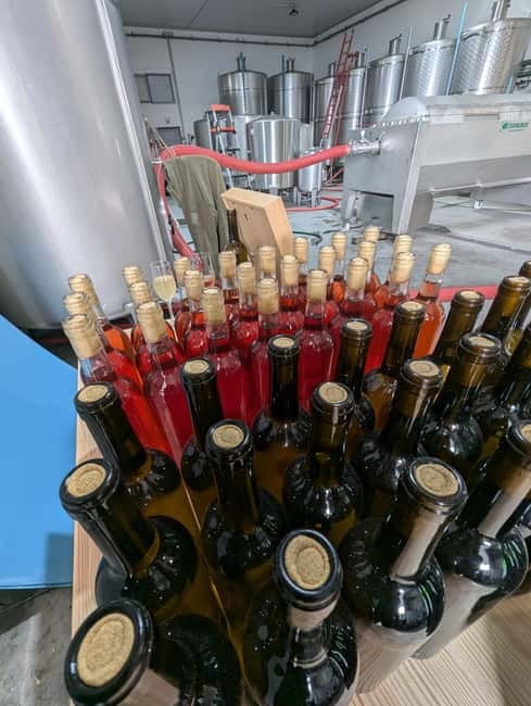 From Porto: 2 Wine Regions, Farm-to-Table Lunch & Boat - Transport, pace, and practical comfort