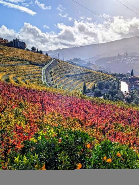 From Porto: 2 Wine Regions, Farm-to-Table Lunch & Boat - Does the $127 price make sense?