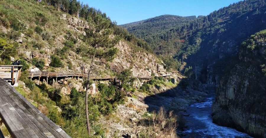 From Porto: Arouca 516 and Paiva Walkways Guided Day Trip - Following the Paiva Walkways for eight kilometers
