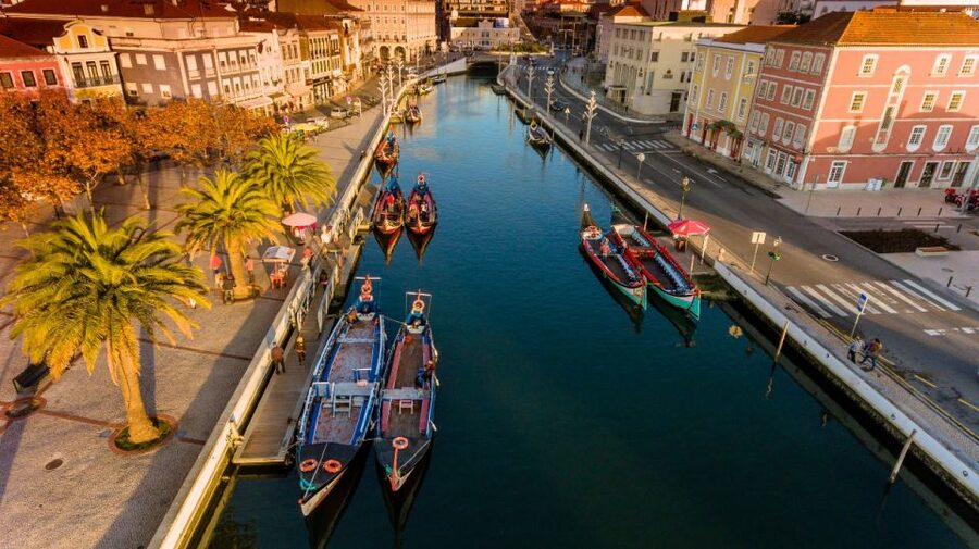 From Porto: Aveiro and Coimbra Private Tour - Key points to know before booking