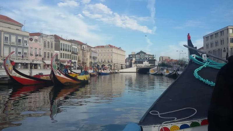 From Porto: Aveiro & Coimbra Tour with Moliceiro Boat Cruise - Key points to know before booking