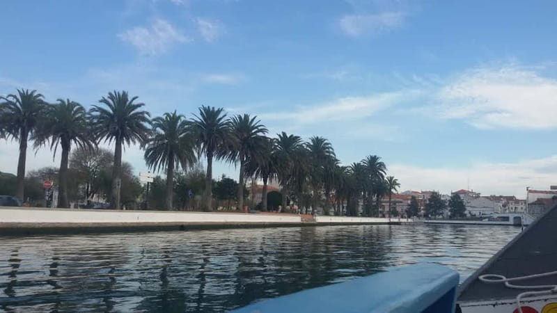 From Porto: Aveiro & Coimbra Tour with Moliceiro Boat Cruise - The ride from Porto to Aveiro