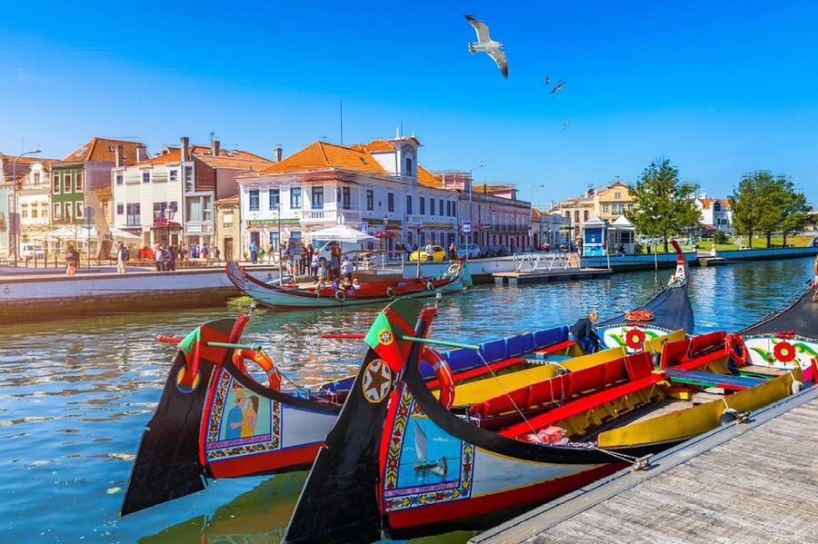 From Porto: Aveiro Half Day Tour - Key points at a glance
