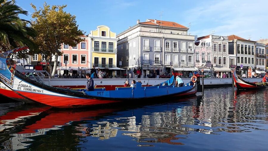 From Porto: Aveiro Half Day Tour - Starting at Lapa Church in Porto