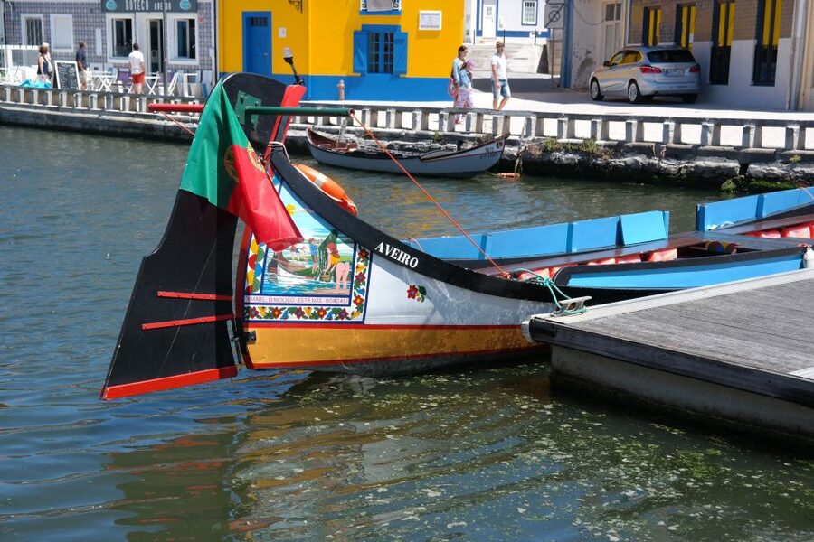 From Porto: Aveiro Half-Day Tour with 1-Hour Cruise - Who should choose this Aveiro outing?