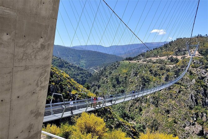 From Porto: Aveiro, Paiva Walkways, Suspension Bridge and Lunch - Why this Porto day trip works so well