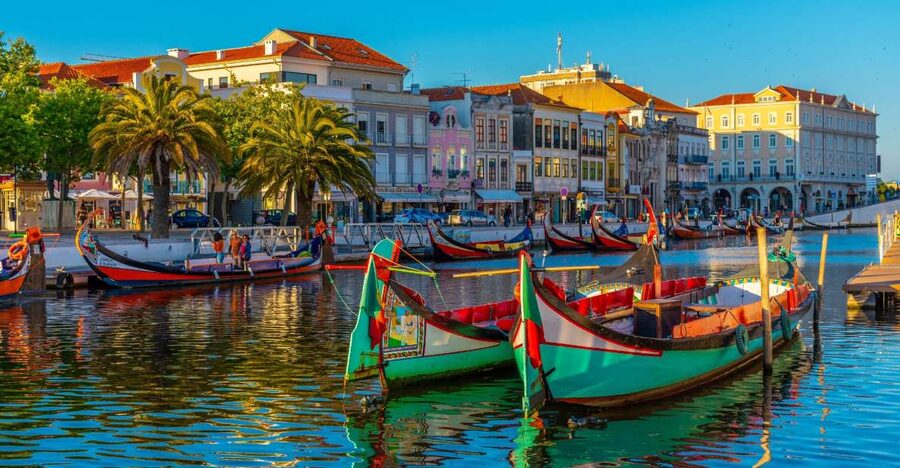 From Porto: Aveiro Private Guided Day Trip - Art Nouveau façades and the Aveiro train station tiles