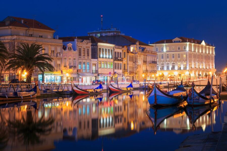 From Porto: Aveiro Private Guided Day Trip - How the private format changes the day