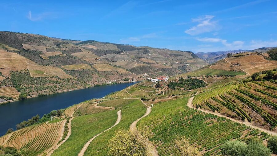 From Porto Day Douro Valley Wine Tour 2 Wine Tasting & Lunch - A Douro lunch with regional ingredients