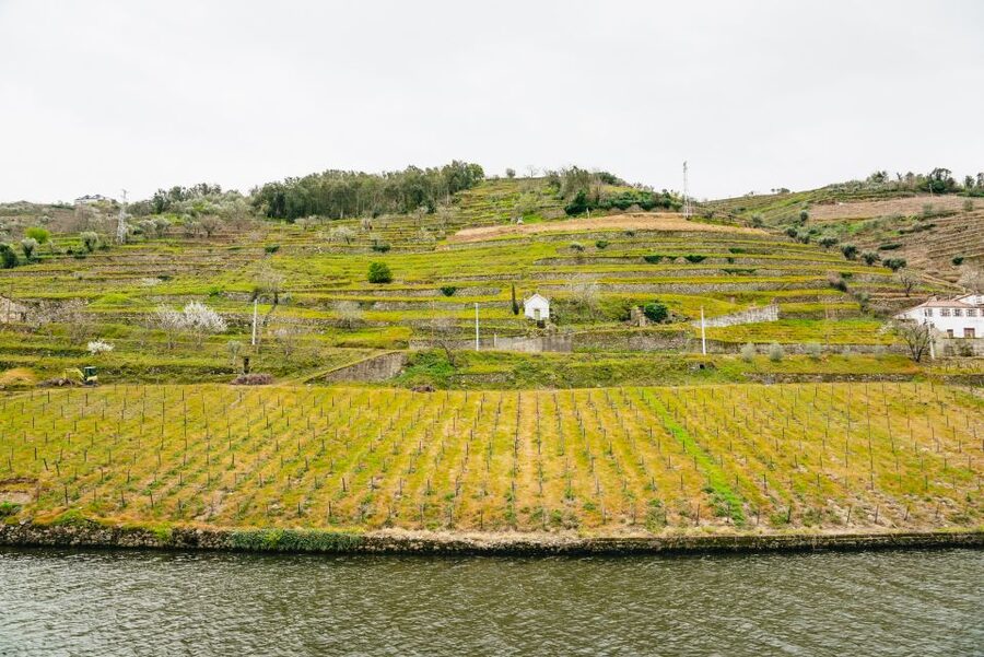From Porto: Douro River Cruise to Régua with Lunch - Régua: a short stop in Portugal’s wine capital