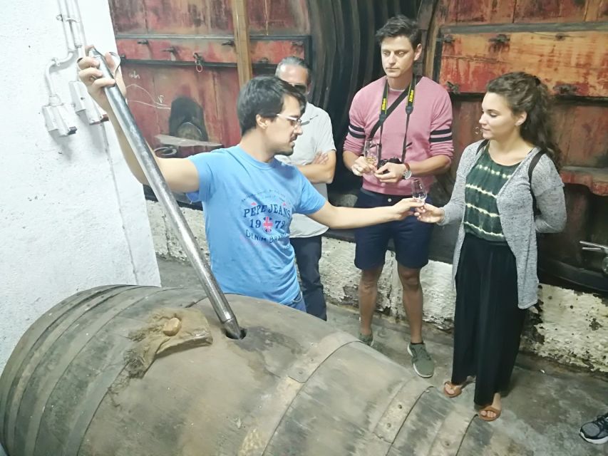 From Porto: Douro Valley 3 Vineyards Tour with Lunch - Who will get the most from this Douro tour