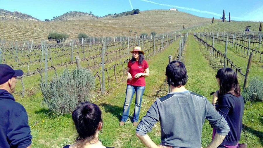 From Porto: Douro Valley 3 Vineyards Tour with Lunch - Why the Douro Valley deserves a full day from Porto