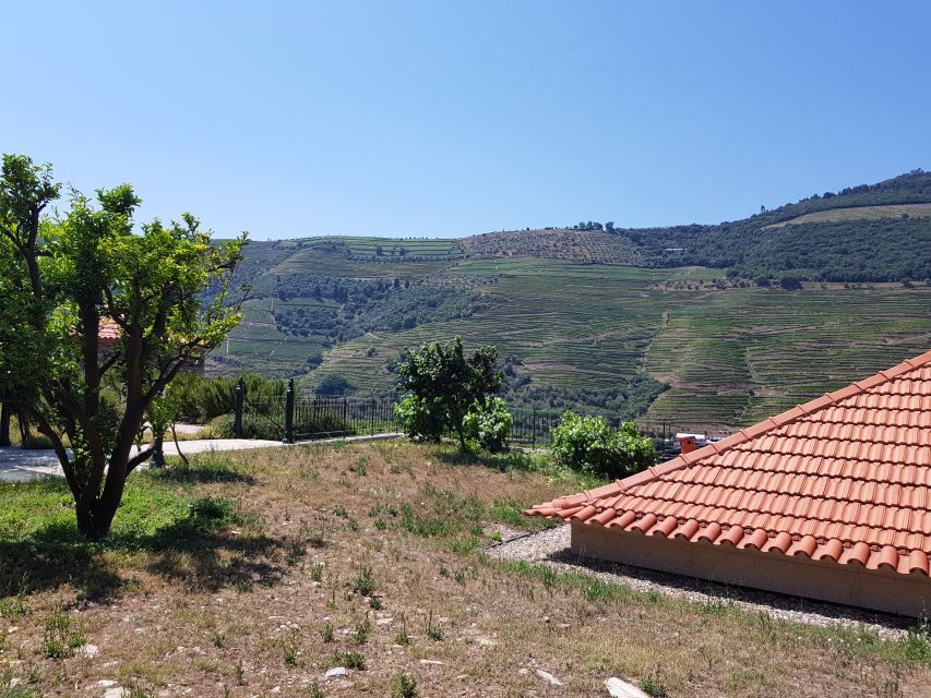From Porto: Douro Valley 3 Vineyards Tour with Lunch - The guides make a long day easier