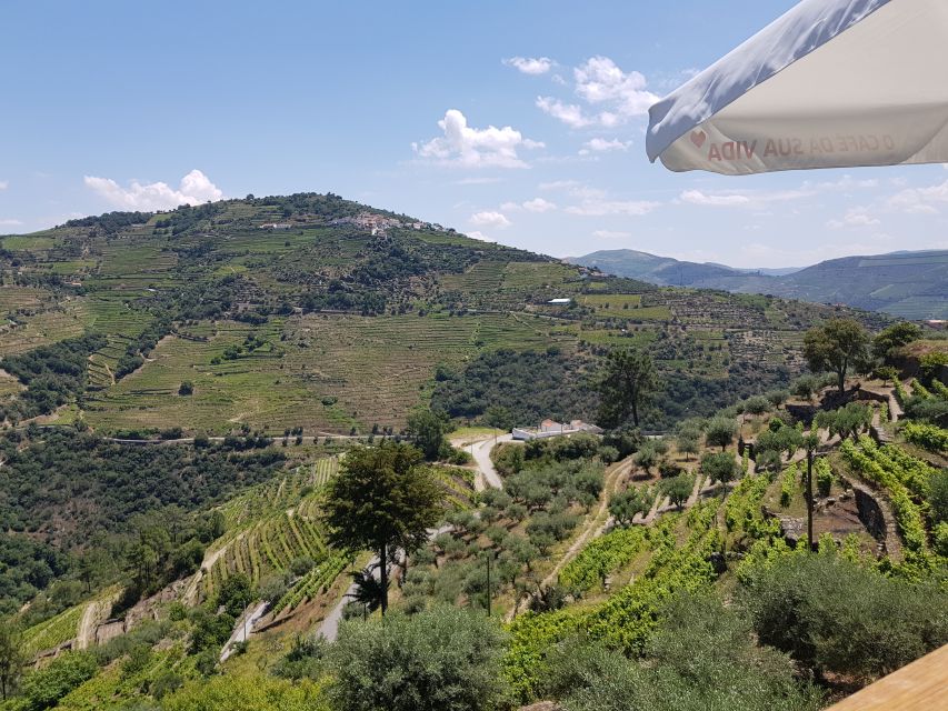From Porto: Douro Valley 3 Vineyards Tour with Lunch - What the drive is really like