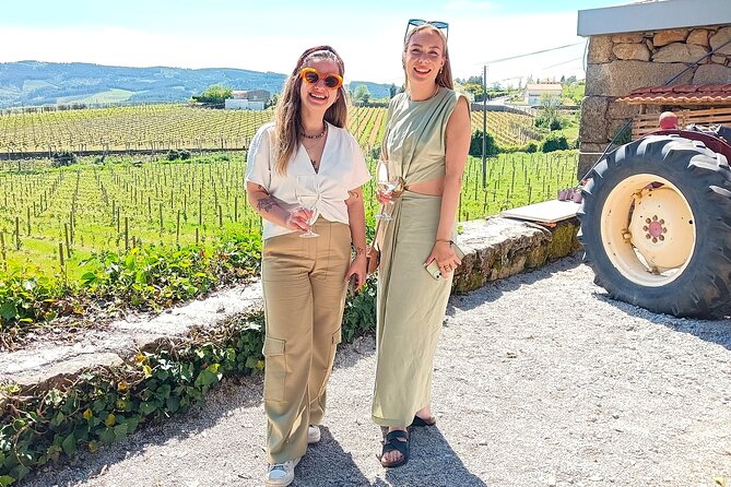 From Porto: Douro Valley Tour with 2 Wineries, Lunch and Cruise - Understanding DOC wine and Port
