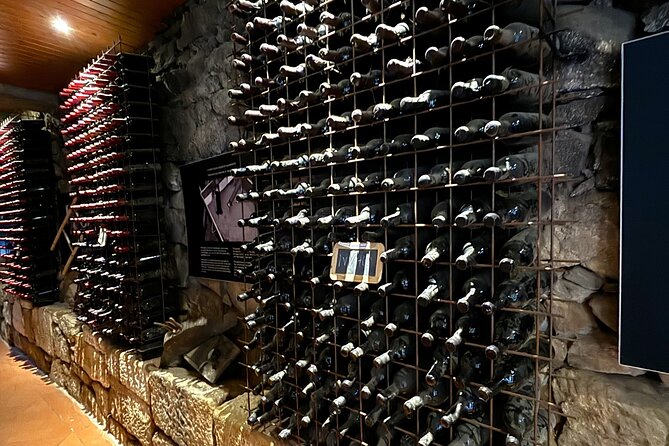From Porto: Douro Valley Tour with 2 Wineries, Lunch and Cruise - The Pinhão river cruise