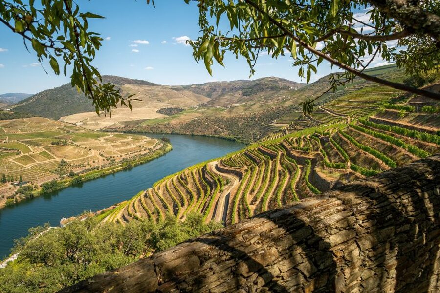 From Porto: Douro Valley Tour with Tastings, Boat & Lunch - Who should book this Douro day trip?