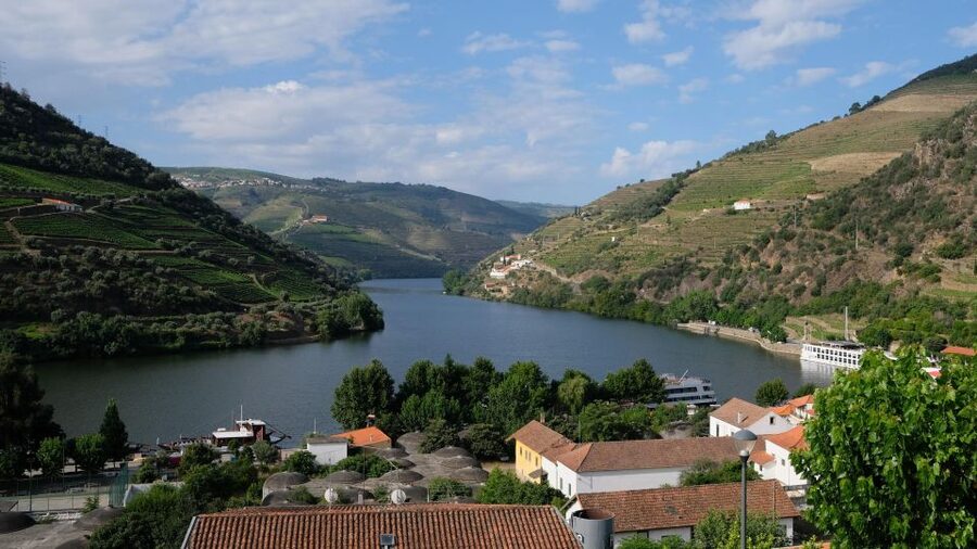 From Porto: Douro Valley Tour with Tastings, Boat & Lunch - Why the Douro Valley is worth a full day from Porto