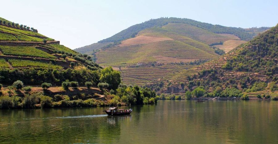 From Porto: Douro Valley Tour with Tastings, Boat & Lunch - Pinhão and the river cruise
