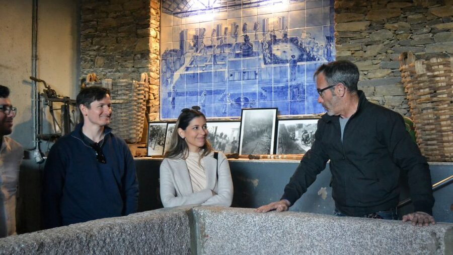 From Porto: Douro Valley Tour with Tastings, Boat & Lunch - The second winery and the story of Port
