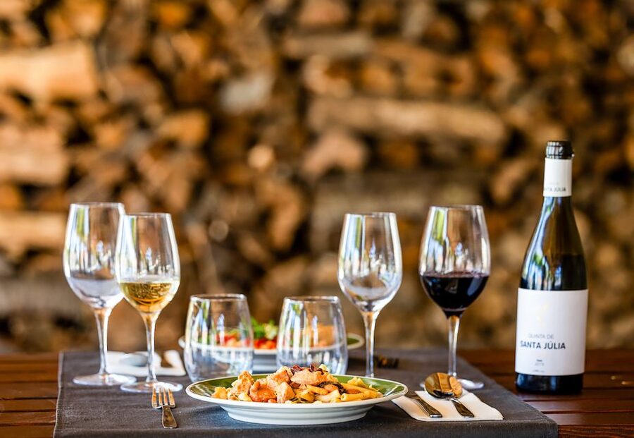 From Porto: Douro Valley w/ Boat Tour, Wine Tasting & Lunch - The 1959 cooperative and the first wine tasting