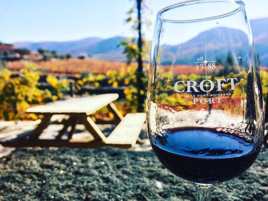 From Porto: Douro Valley w/ Boat Tour, Wine Tasting & Lunch - Cruising from Pinhão for one quiet hour