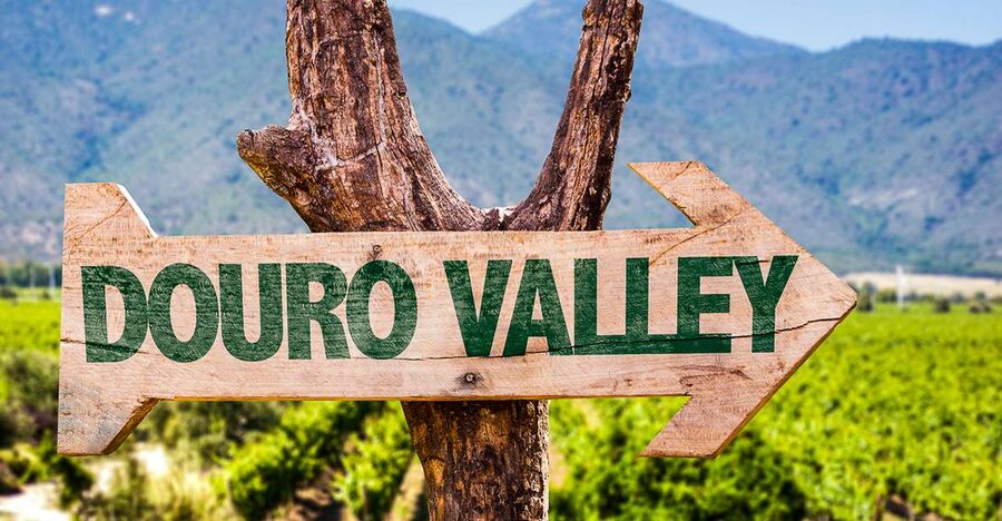 From Porto: Douro Valley w/ Boat Tour, Wine Tasting & Lunch - The second wine stop around Pinhão