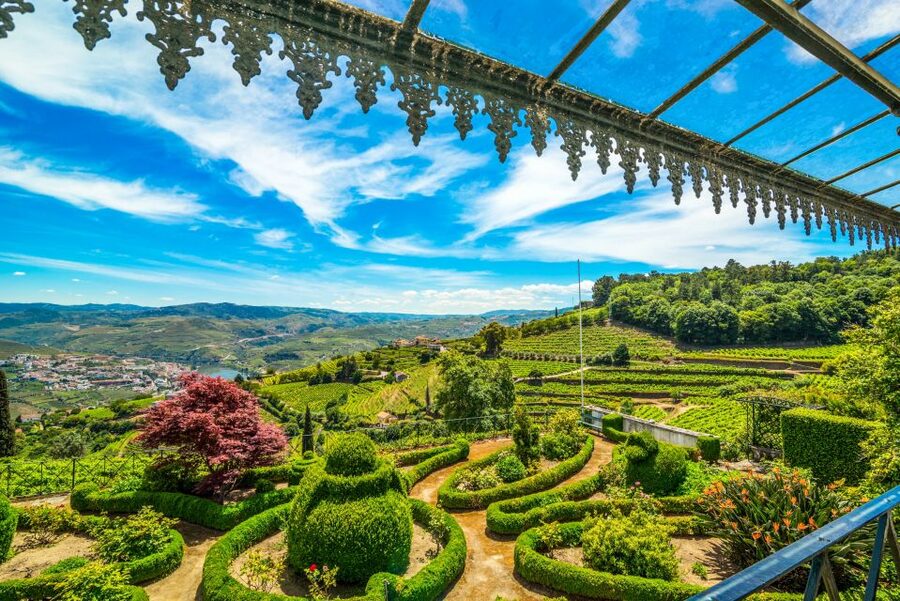 From Porto: Douro Valley w/ Boat Tour, Wine Tasting & Lunch - Pinhão viewpoints and the scenic N222 return