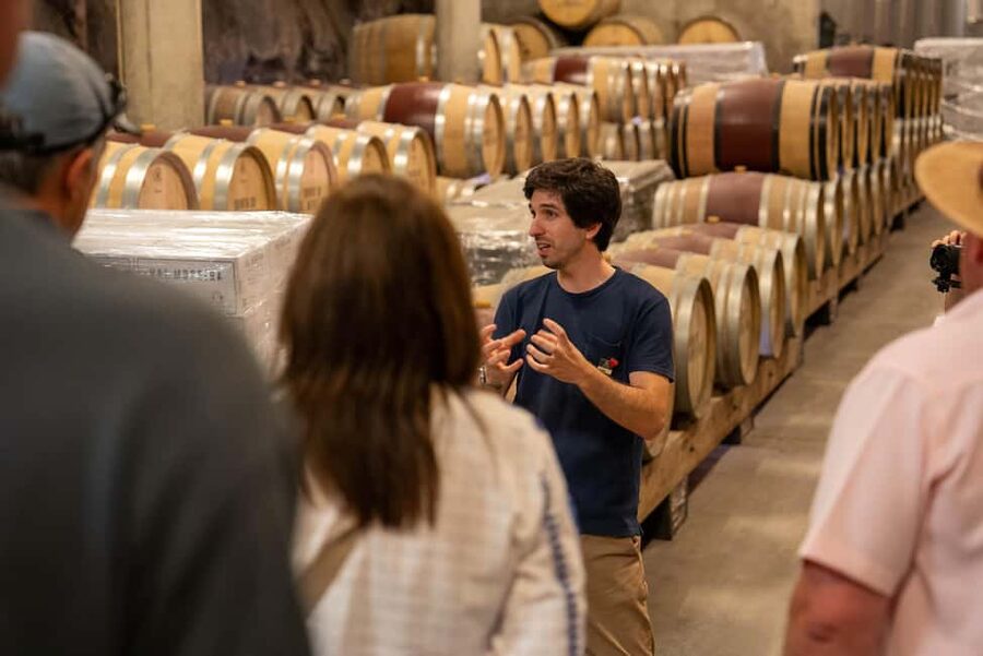 From Porto: Douro Valley Wine Tour with Lunch and Cruise - Cruising the Douro from a private pier