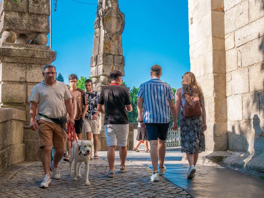 From Porto: Douro Valley Wine Tour with Lunch and Cruise - What the guides add to the experience