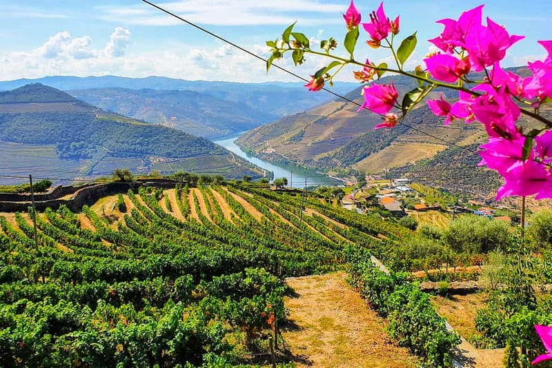 From Porto: Douro Valley with Wineries, Lunch and Boat Trip - Why this Douro day works so well from Porto