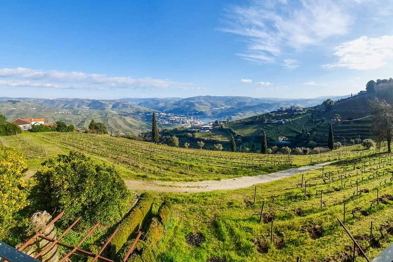 From Porto: Douro Valley with Wineries, Lunch and Boat Trip - A long Portuguese lunch in Tabuaço