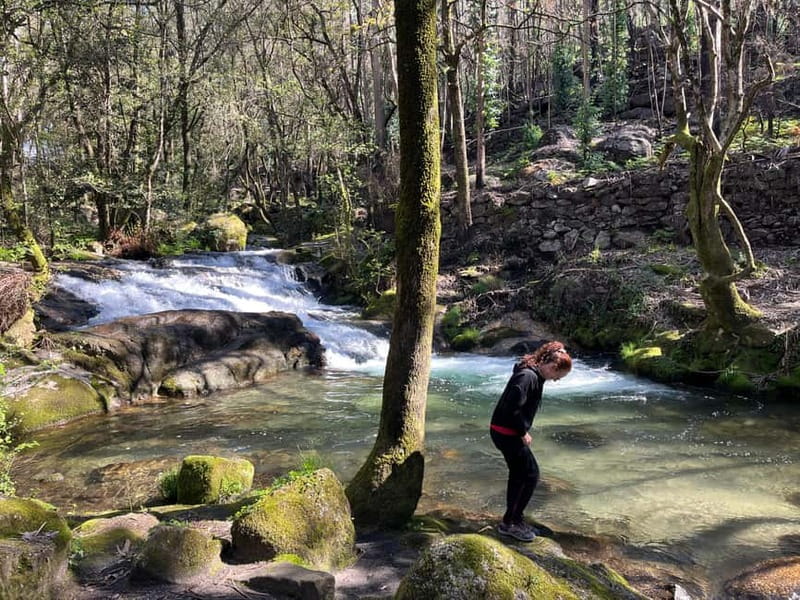 From Porto: Forest Waterfalls & Roman Ruins Trail Tour - What makes this walk worth your time