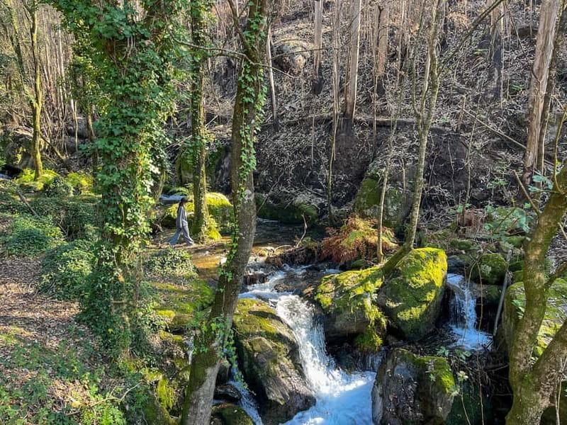 From Porto: Forest Waterfalls & Roman Ruins Trail Tour - Reaching Castro Monte Padrão