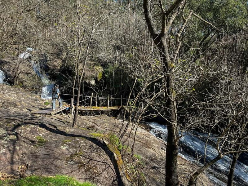 From Porto: Forest Waterfalls & Roman Ruins Trail Tour - Why the small group changes the experience