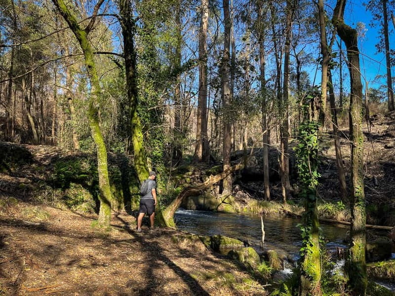 From Porto: Forest Waterfalls & Roman Ruins Trail Tour - Fitness, clothing, and weather