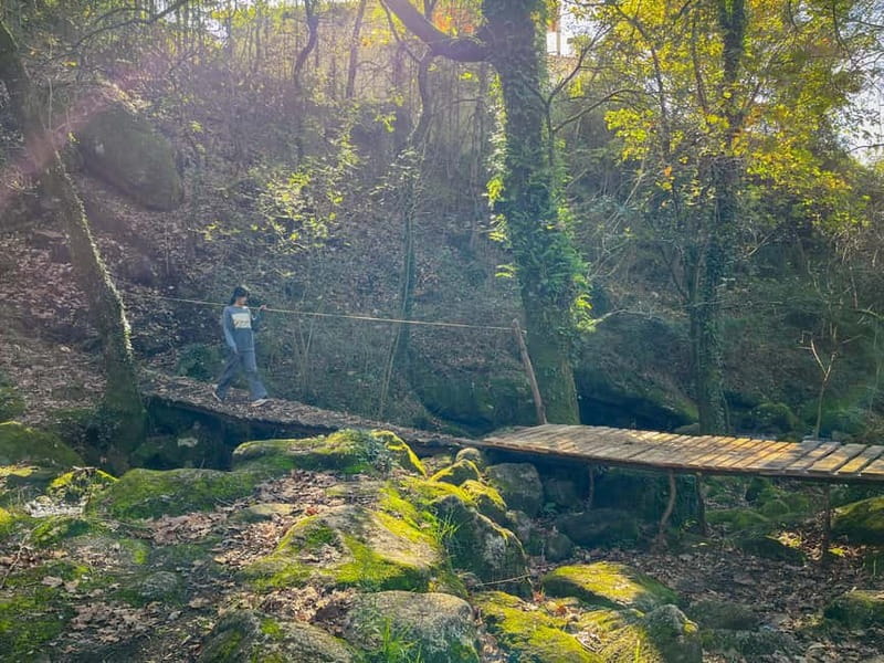 From Porto: Forest Waterfalls & Roman Ruins Trail Tour - Who should book this trail