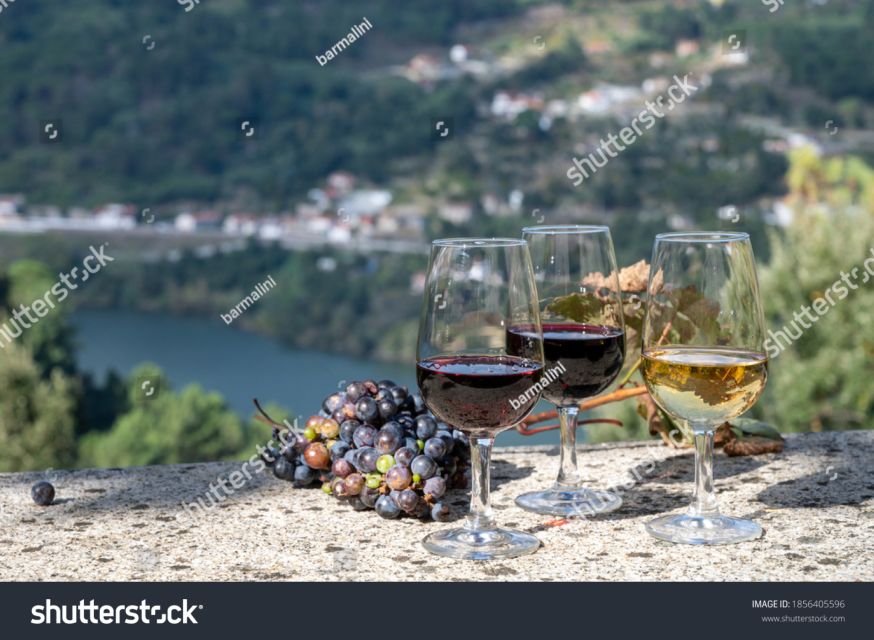 From Porto: Full-Day Douro Historical Tour - Key points to know before booking