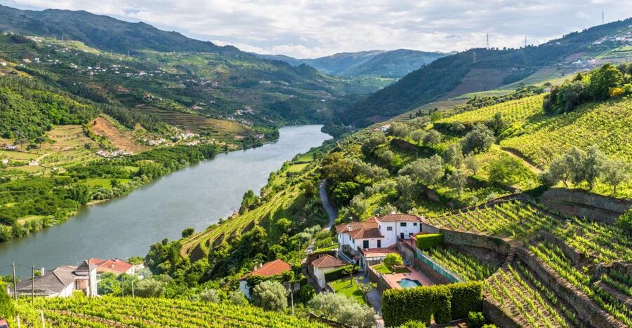 From Porto: Full-Day Douro Historical Tour - Why the Douro Valley works as a day trip from Porto