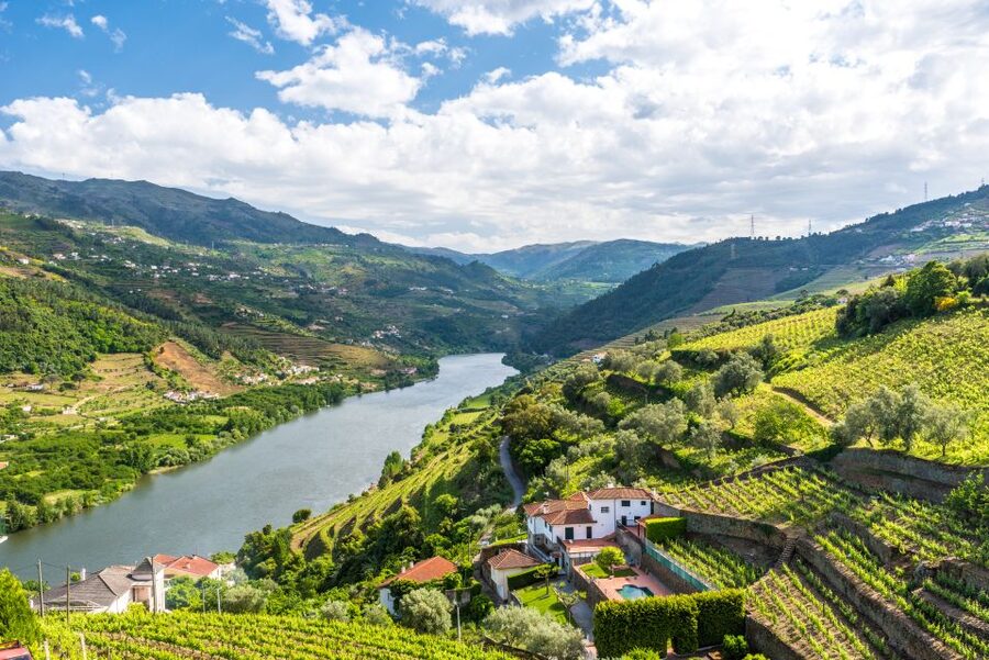 From Porto: Full-Day Douro Historical Tour - Amarante and the Monastery of Saint Gonçalo