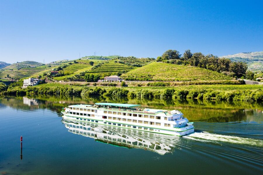 From Porto: Full-Day Douro Historical Tour - Viewpoints, lunch, and the road into wine country