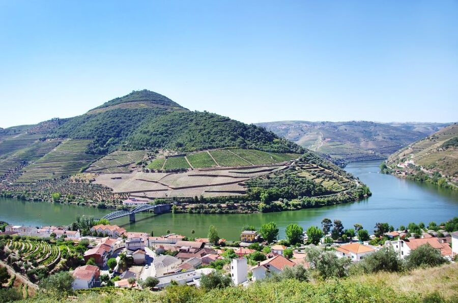 From Porto: Full-Day Douro Historical Tour - Port wine in the Douro Valley
