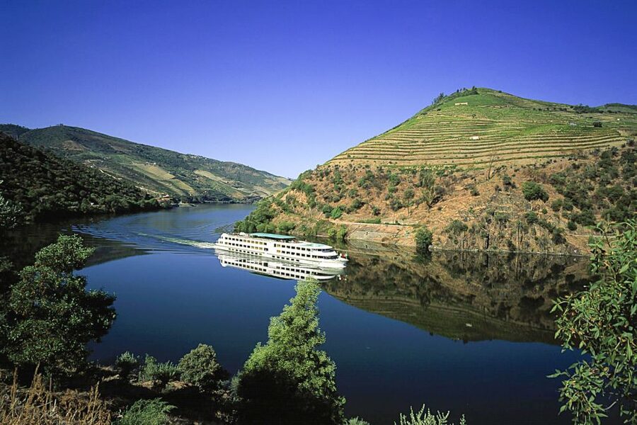 From Porto: Full-Day Douro Historical Tour - Starting near São Bento Station