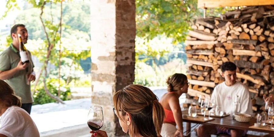 From Porto: Full-Day Douro Valley Trip - The first estate visit and seven tastings