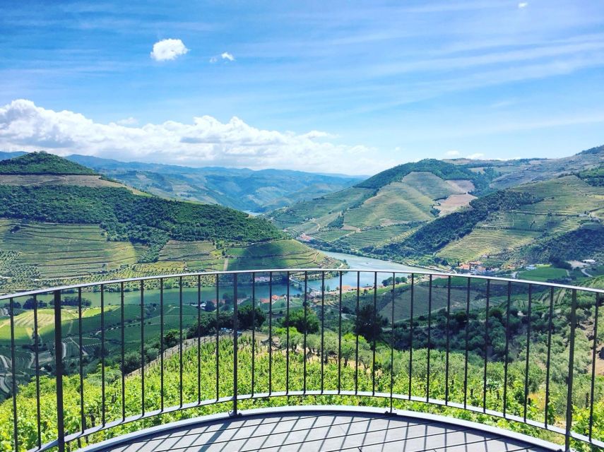 From Porto: Full-Day Douro Valley Trip - A local lunch in a wine cellar