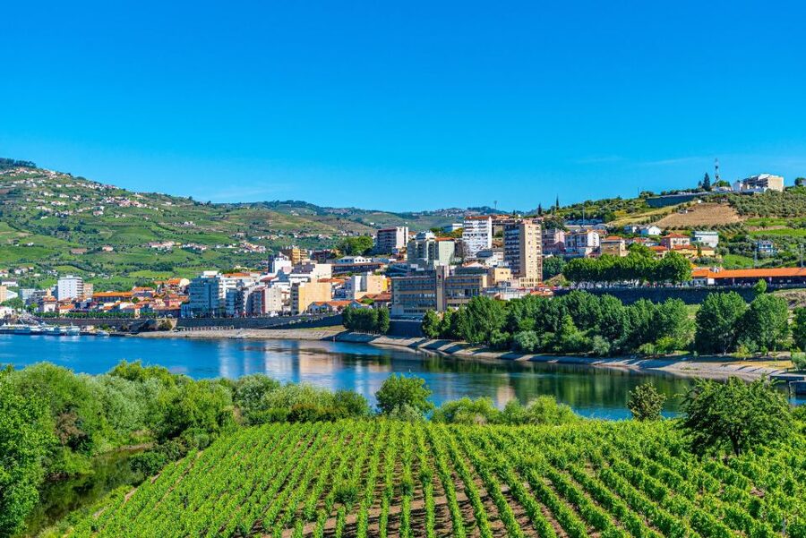 From Porto: Full-Day Douro Valley Trip - The second winery and a different point of view