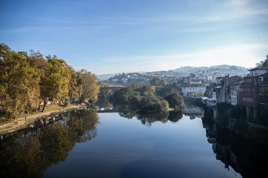 From Porto: Full-Day Douro Valley & Wine Tour with Lunch - Who should choose this Douro tour