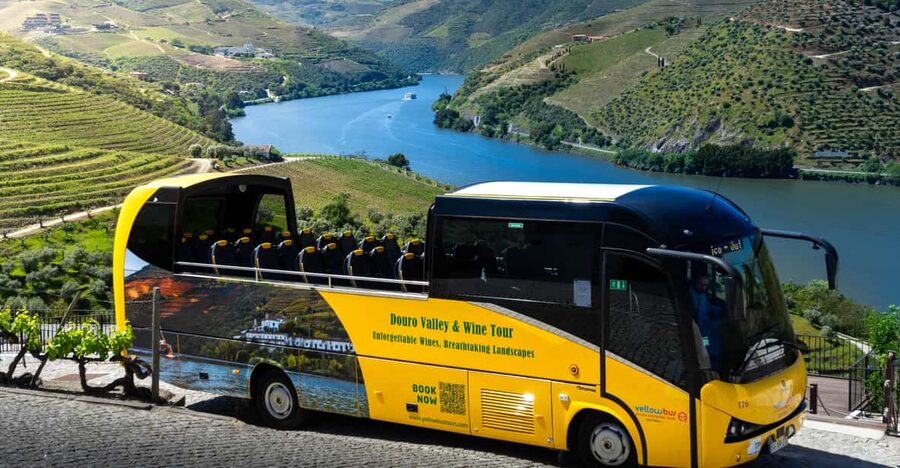From Porto: Full-Day Douro Valley & Wine Tour with Lunch - The Douro Valley arrives in terraces and bends