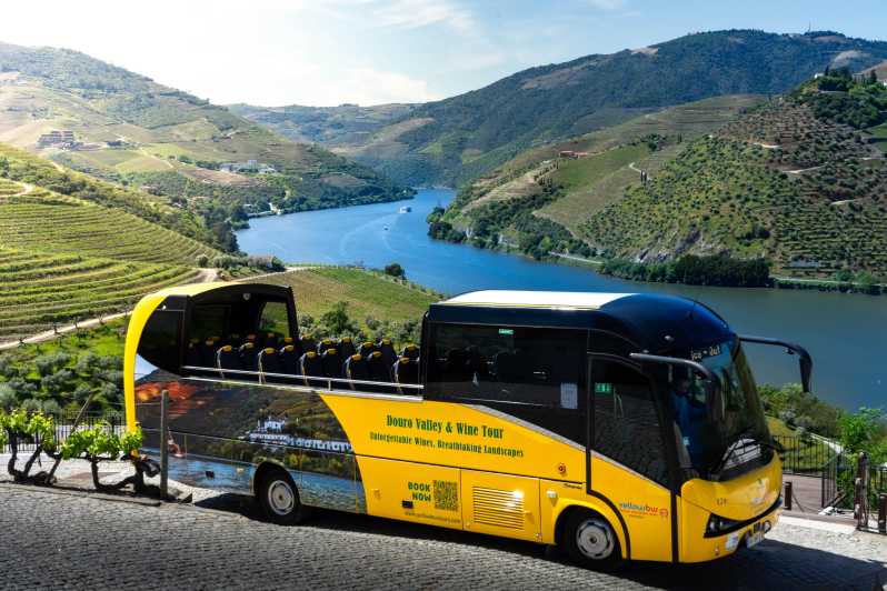 From Porto: Full-Day Douro Valley & Wine Tour with Lunch - The Pinhão cruise favors quiet views