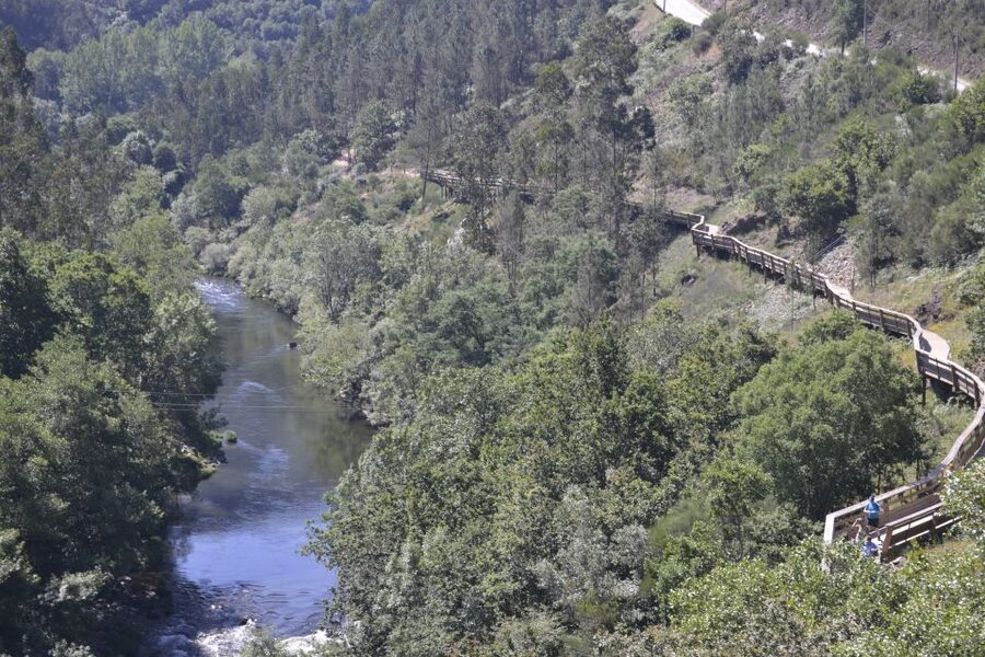 From Porto: Full-Day Paiva Walkways Tour - Key points to know before booking